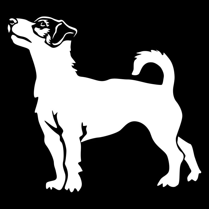 Jack Russell Terrier « Black Edition »