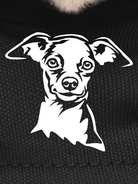 Zwergpinscher Head "Black Edition"
