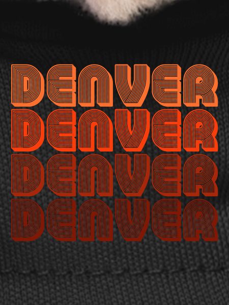 Modèle rétro Denver Gradient