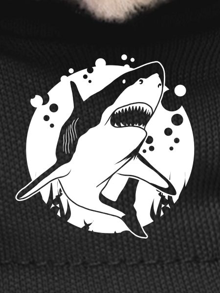 Requin