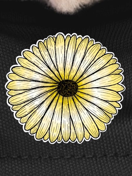 Yellow daisy