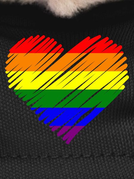 Regenbogen Pride Herz