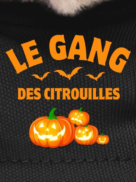 halloween, citrouille, citrouilles