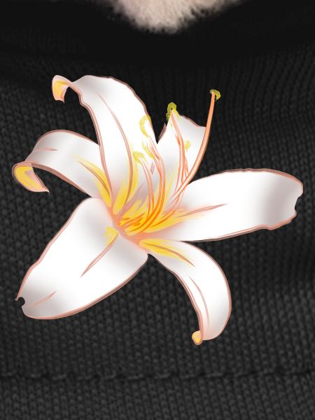 WHITE LILYLILY Magic White Lily