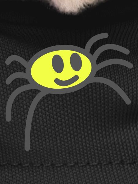 acid spider