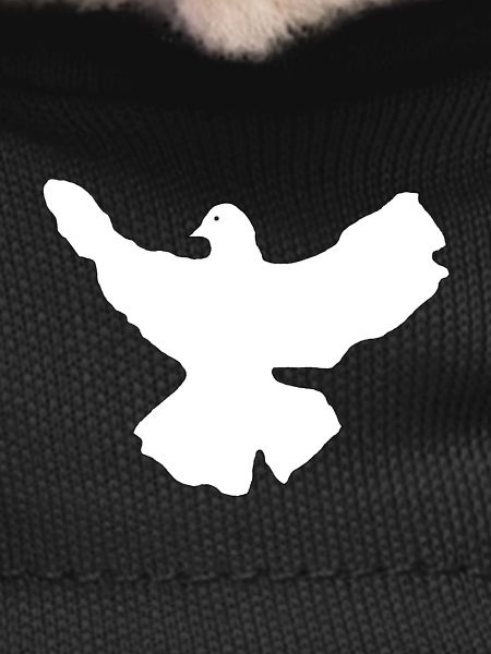 White dove of peace