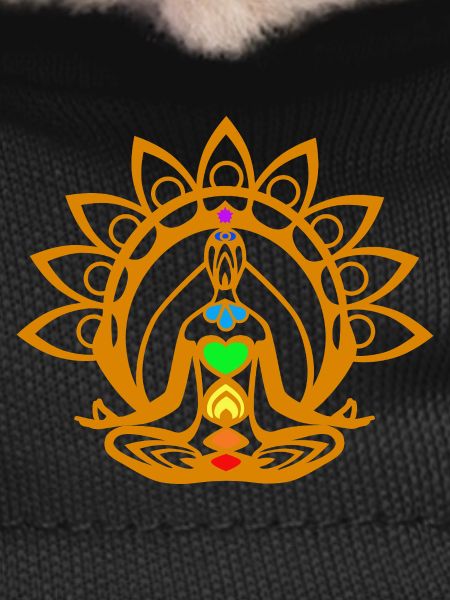 Chakra meditation