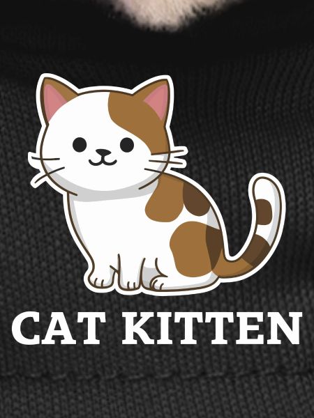 Adorable Cat Kitten