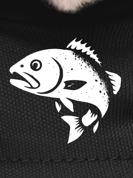 Zander and perch