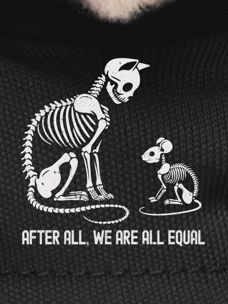 Evolving Animal Skeleton Dance Design