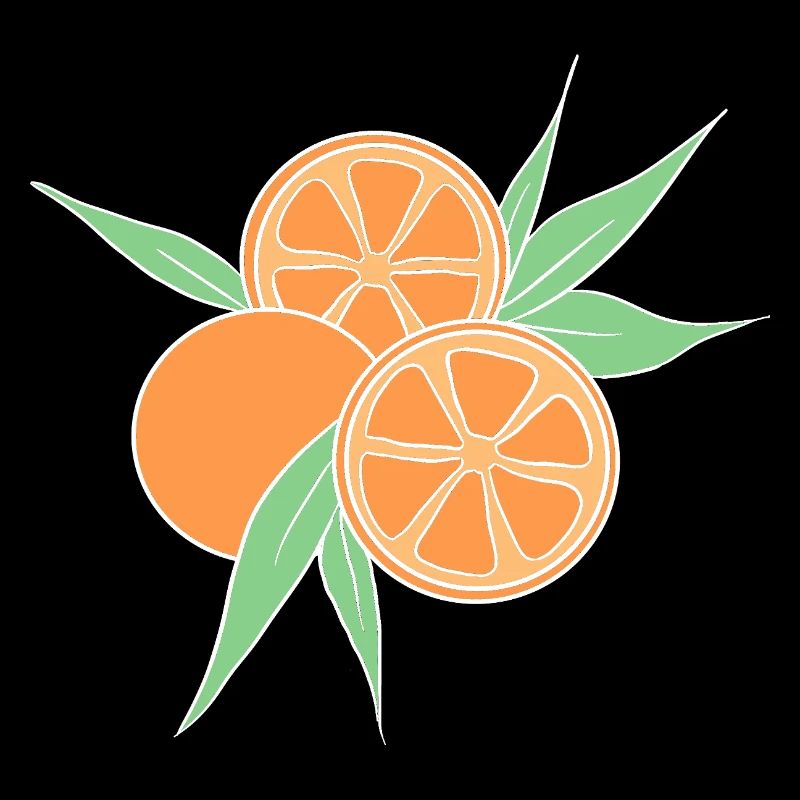 Fresh Orange Citrus Fruit Illustration