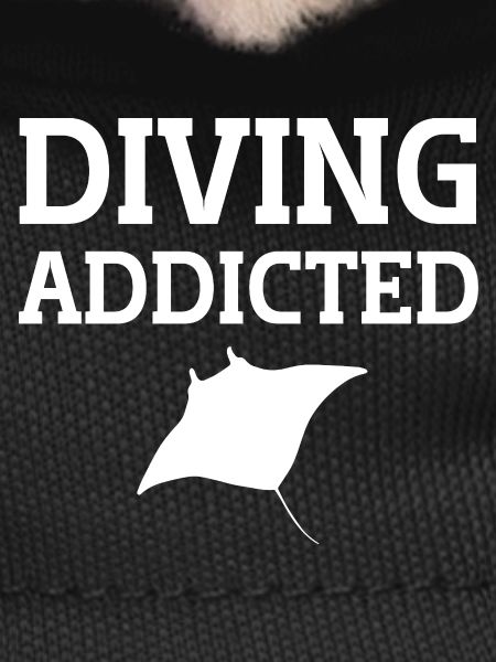 Diving Addicted manta ray
