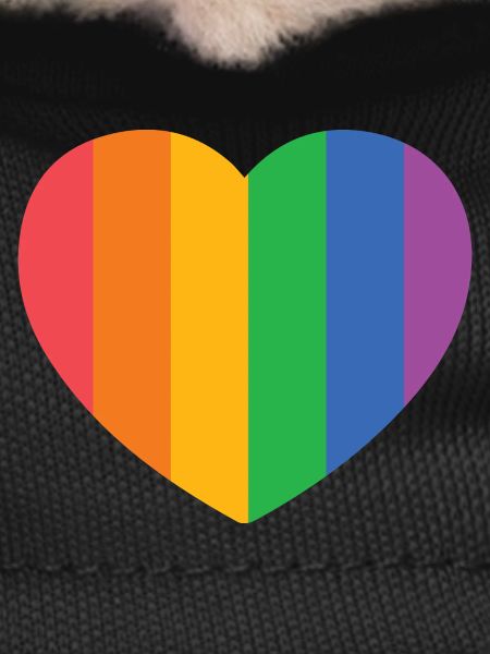 Heart with Pride Stripes