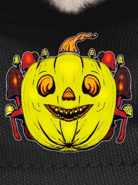 Grinning pumpkin with mushroom frame
