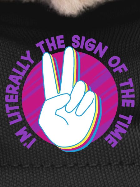 ASL Sign Language Interpreter