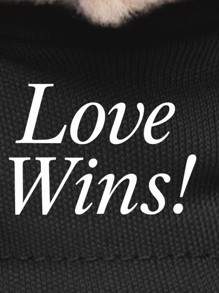 NEW -- Love Wins!