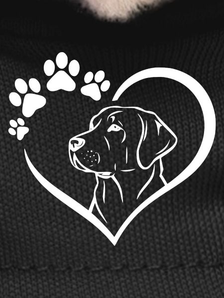 Labrador Retriever Art Dog