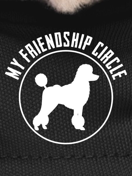 Poodle My Friendship Circle 