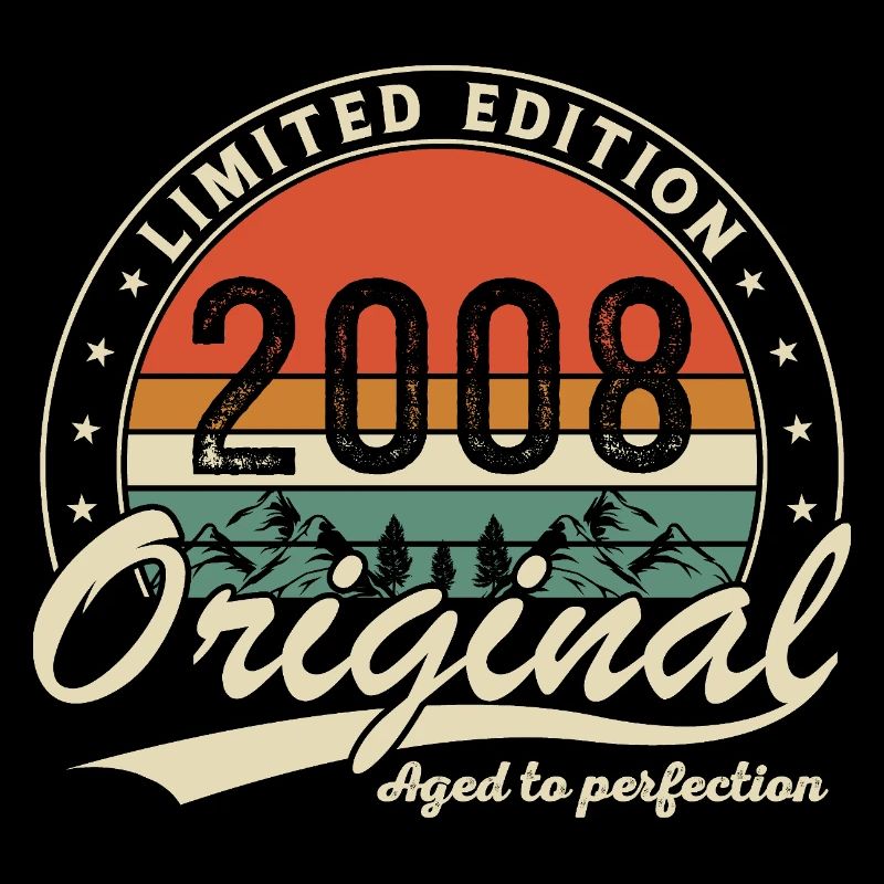 2008 Vintage Retro Birthday Gift