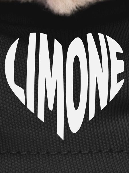 Lime Heart Design