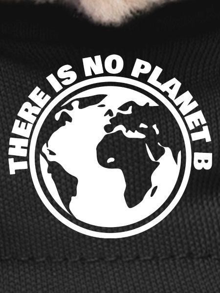 There is no planet B