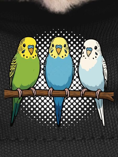 Budgerigars Budgie Owners Budgies