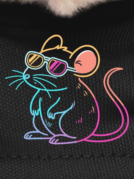 Rainbow Rat Neon Glasses