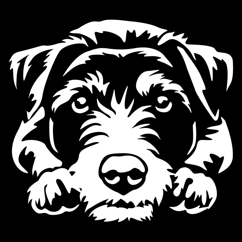 Jack Russell Terrier « Édition noire »