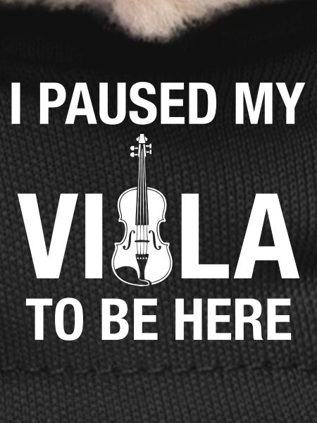 Viola Paused Viola Practice Musicians