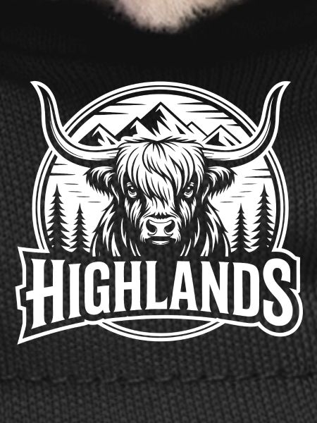 Highland cattle Highlands
