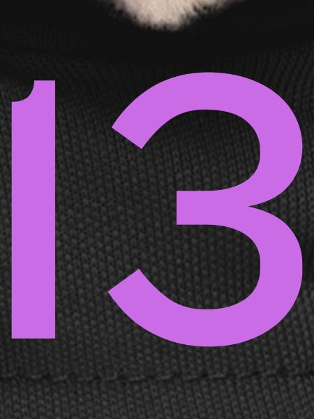 13