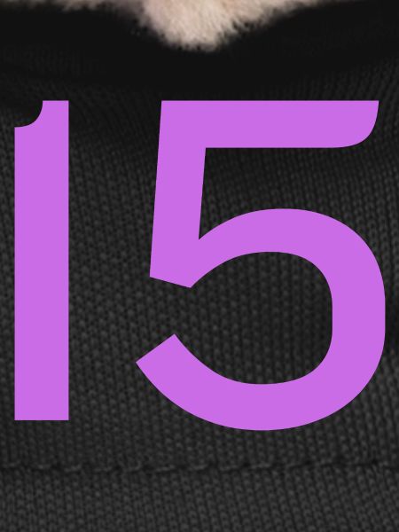 15