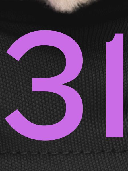 31