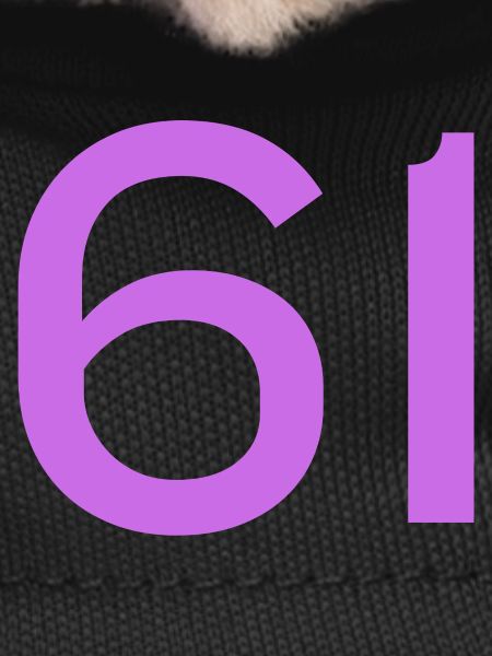 61