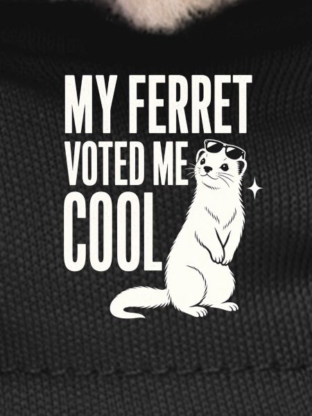 MY FERRET VOTED ME COOL