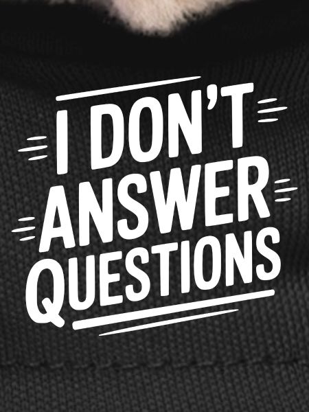 I Don't Answer Questions