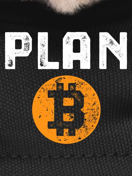 Bitcoin - Plan B - Crypto Gift