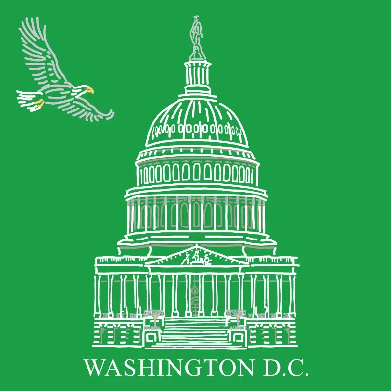 Washington D.C., Capitol Structure, Bald Eagle