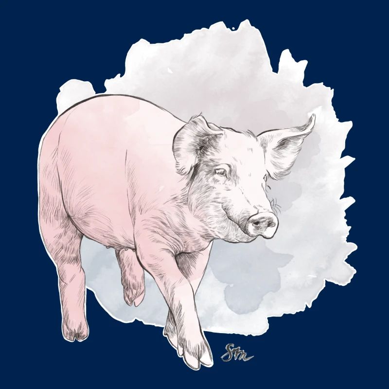 Cochon mignon devant une masse colorée