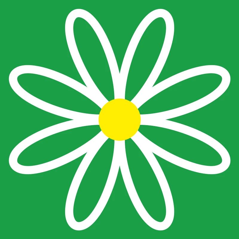 Daisy Gänseblümchen