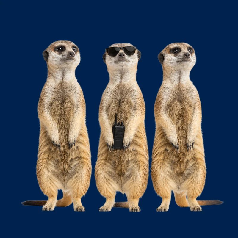 Funny Erdmänchen Security Team