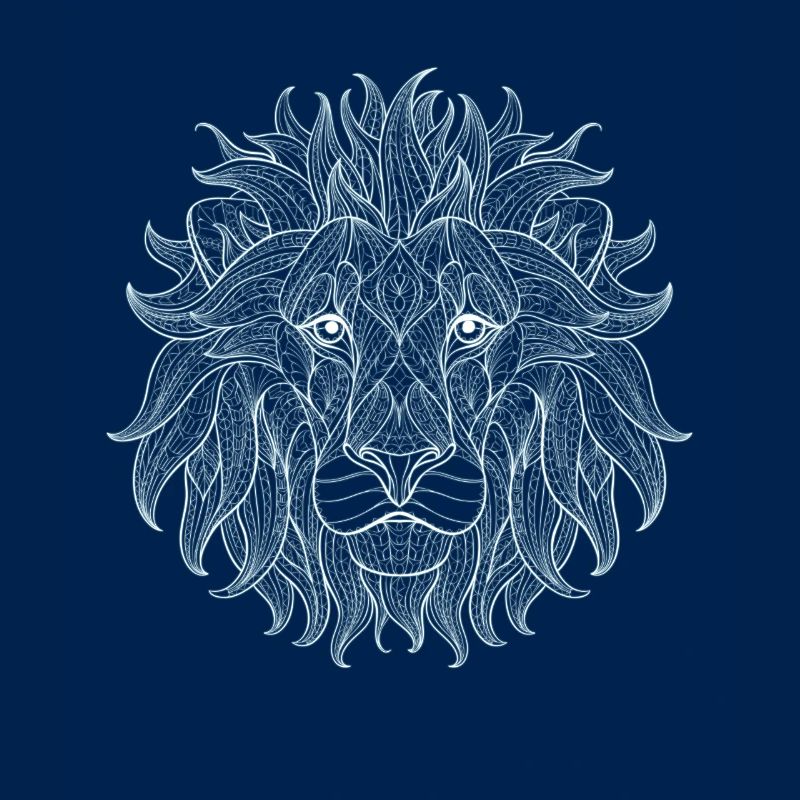 Lion white lion king outline mandala pattern head