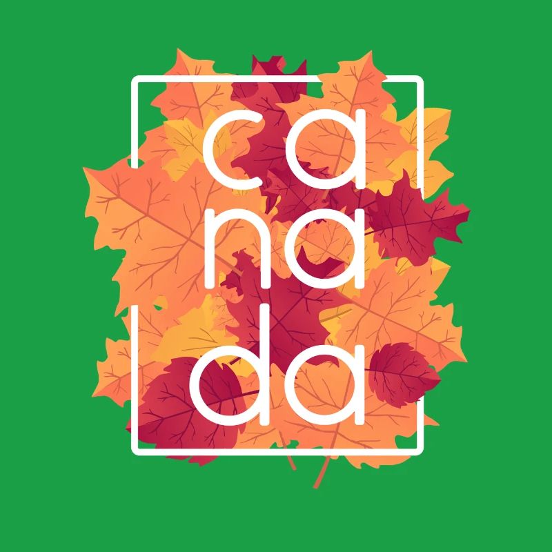 Design des feuilles d’érable d’automne du Canada