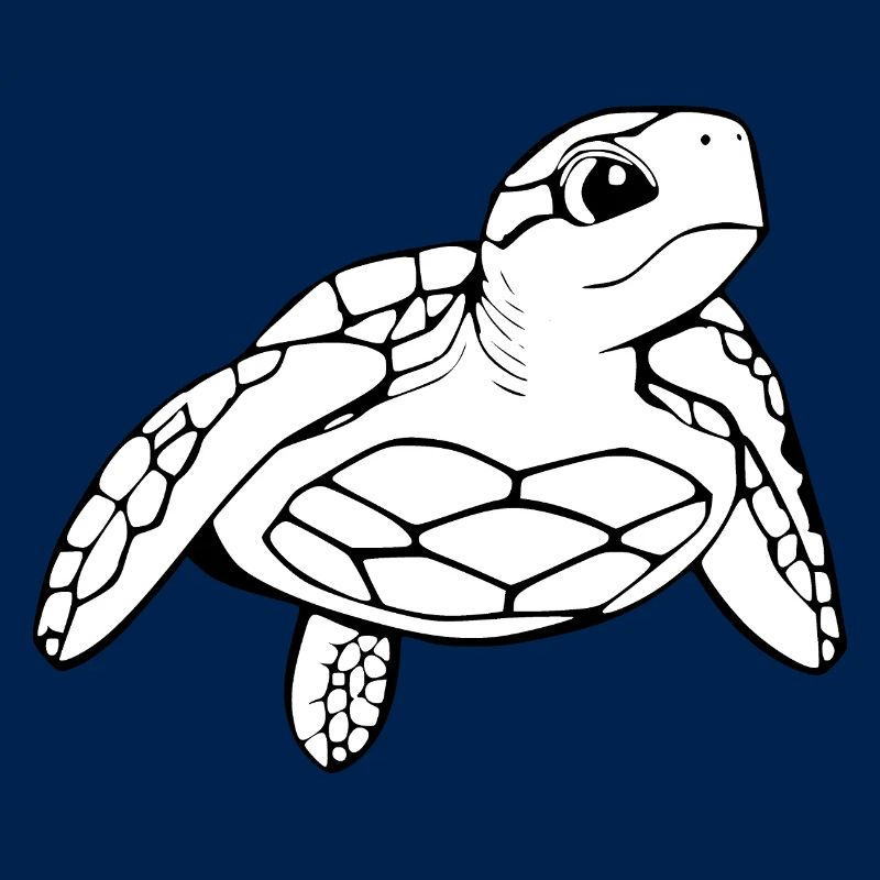 Turtle Turtles