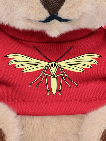 Feather moth