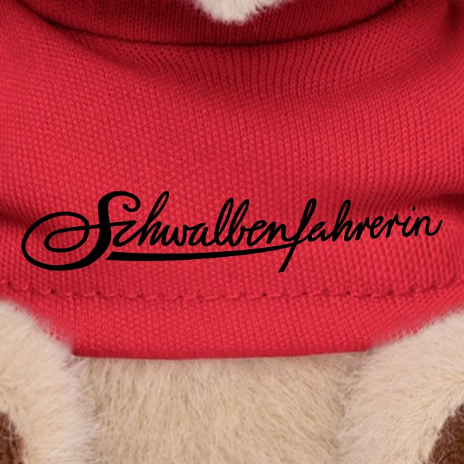 Logo Schwalbenfahrerin