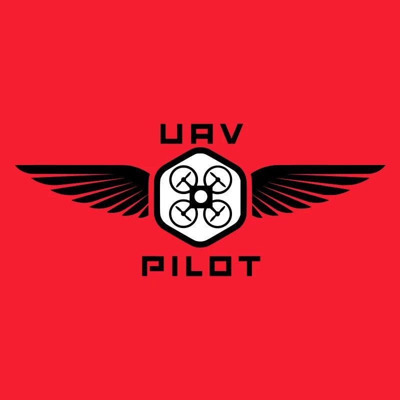 UAV PILOT2