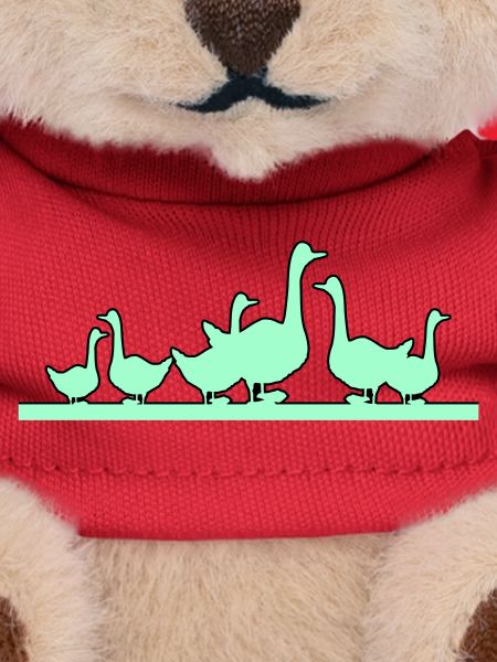 Ducks Geese