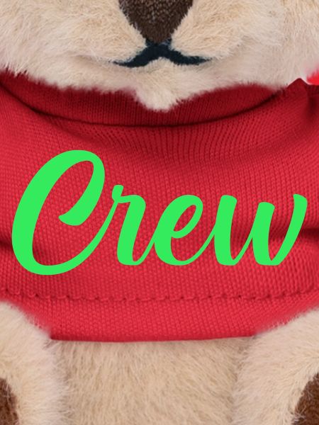 Crew Neon Script