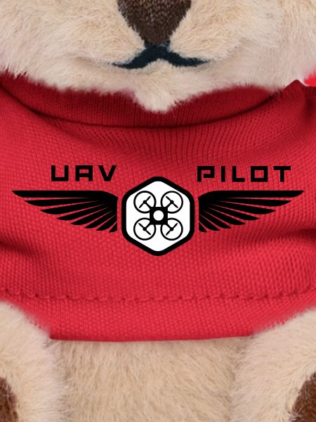 UAV PILOT1